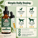 Pudgybean Gut & Parasite Support Drops