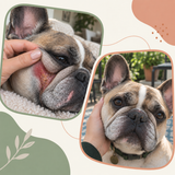 Pudgy Bean Wrinkle Paste